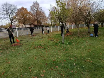новости
