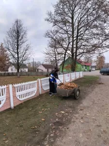 новости