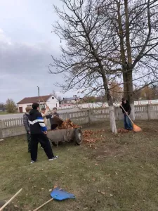 новости