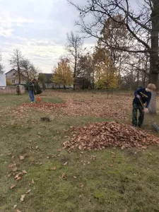 новости