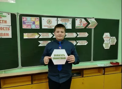 новости