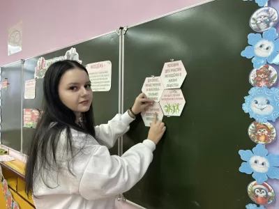 новости