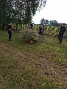 Новости