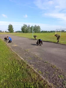 Новости
