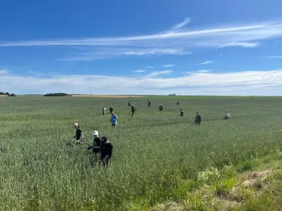 Новости