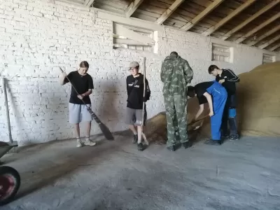 новости