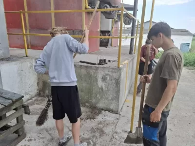 новости