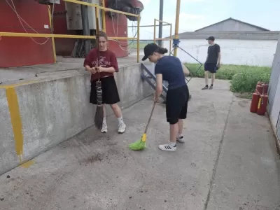 новости