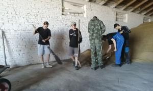 новости